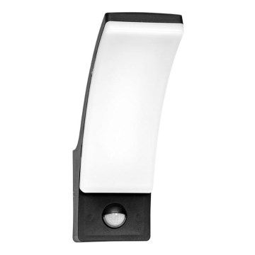 LED Zidno spoljašnje osvetljenje sa senzorom RITA LED/12W/230V 4000K IP65