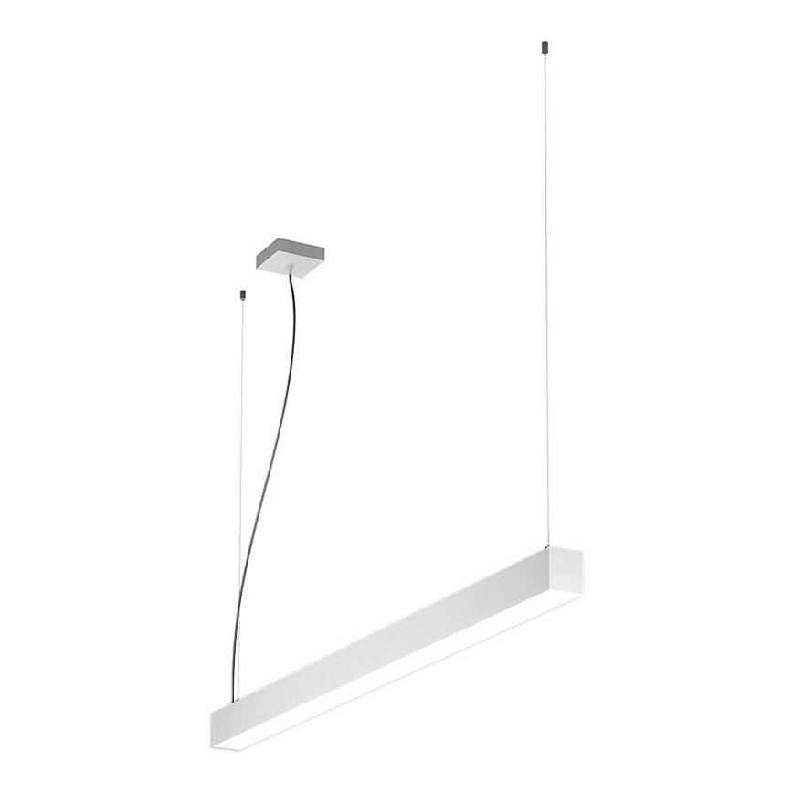 LED2 - LED luster na sajli NOLI LED/40W/230V 3000K/3500K/4000K bela