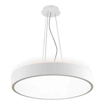 LED2 - LED luster na sajli ROTO LED/48W/230V 2700K/3300K/4000K IP40 bela pr. 40 cm