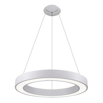 LED2 - LED luster na sajli SATURN LED/50W/230V 3000K pr. 60 cm bela