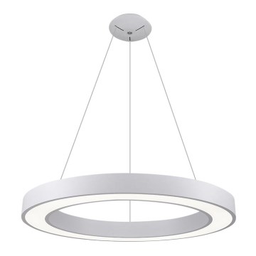LED2 - LED luster na sajli SATURN LED/80W/230V 3000K pr. 80 cm bela