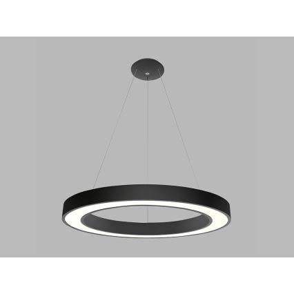 LED2 - LED luster na sajli SATURN LED/80W/230V 3000K pr. 80 cm crno