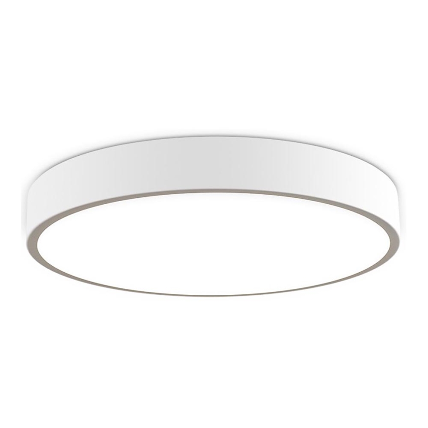 LED2 - LED Prigušiva plafonjera MONO LED/100W/230V 3000K/4000K bela
