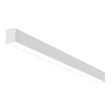 LED2 - LED Prigušiva plafonjera NOLI LED/40W/230V 3000K/3500K/4000K bela