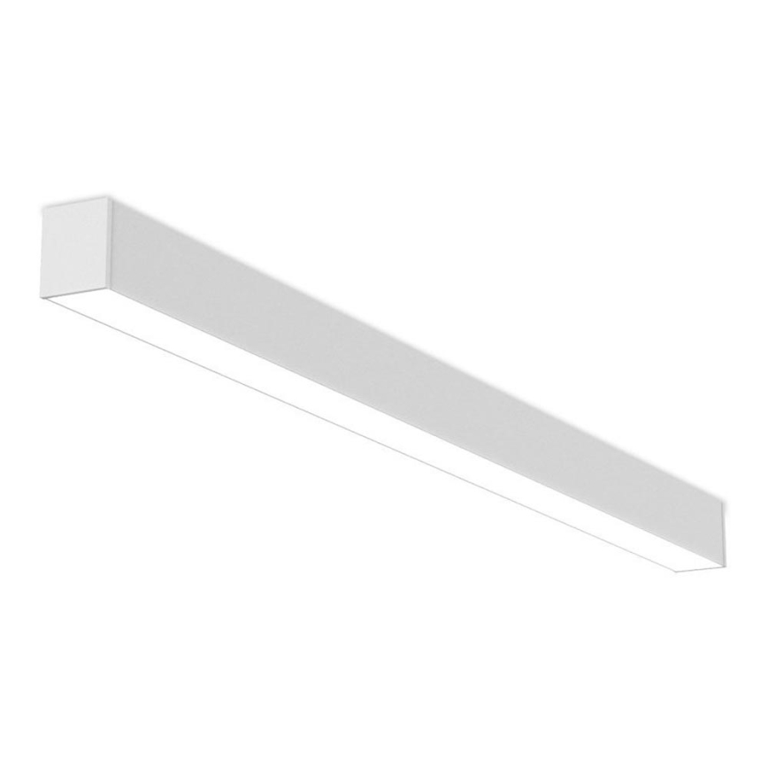 LED2 - LED Prigušiva plafonjera NOLI LED/40W/230V 3000K/3500K/4000K bela