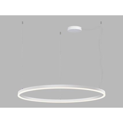 LED2 - LED Prigušivi luster na sajli CIRCLE LED/80W/230V 3000K/4000K pr. 100 cm bela