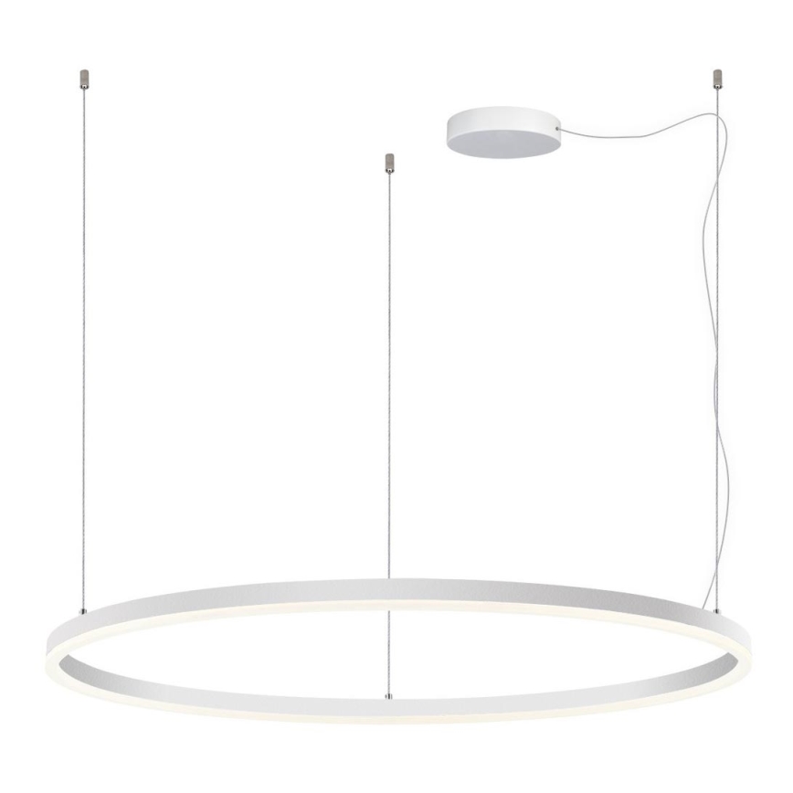 LED2 - LED Prigušivi luster na sajli CIRCLE LED/80W/230V 3000K/4000K pr. 100 cm bela