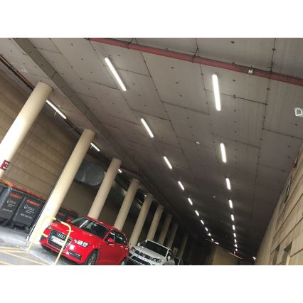 LED2 - LED Radna baterijska lampa DUSTER LED/52W/230V IP66