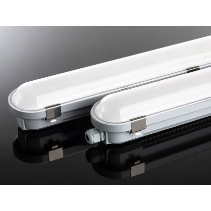 LED2 - LED Radna baterijska lampa DUSTER LED/52W/230V IP66