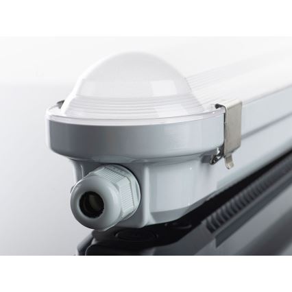 LED2 - LED Radna baterijska lampa DUSTER LED/52W/230V IP66