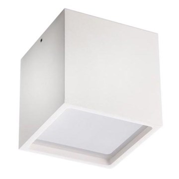 LED2 - LED Spoljašnja plafonjera CUBE LED/12W/230V bela IP54