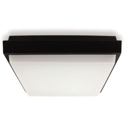 LED2 - LED Spoljašnja plafonjera QUADO LED/10W/230V antracit IP54