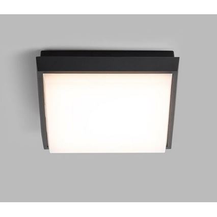 LED2 - LED Spoljašnja plafonjera QUADO LED/10W/230V antracit IP54