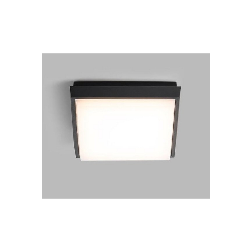 LED2 - LED Spoljašnja plafonjera QUADO LED/10W/230V antracit IP54