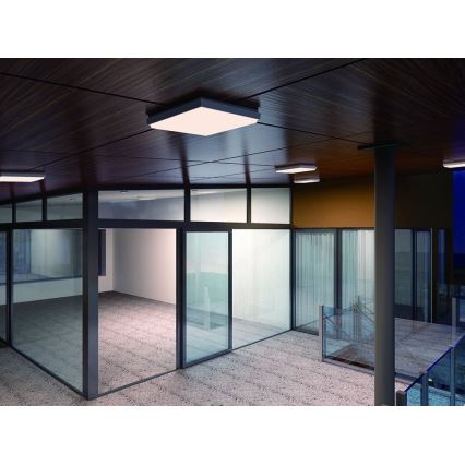 LED2 - LED Spoljašnja plafonjera QUADO LED/10W/230V antracit IP54