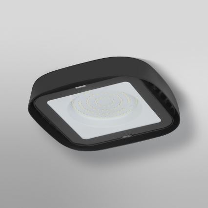 Ledvance - LED Industrijska plafonjera HIGHBAY LED/80W/230V IP65 6500K