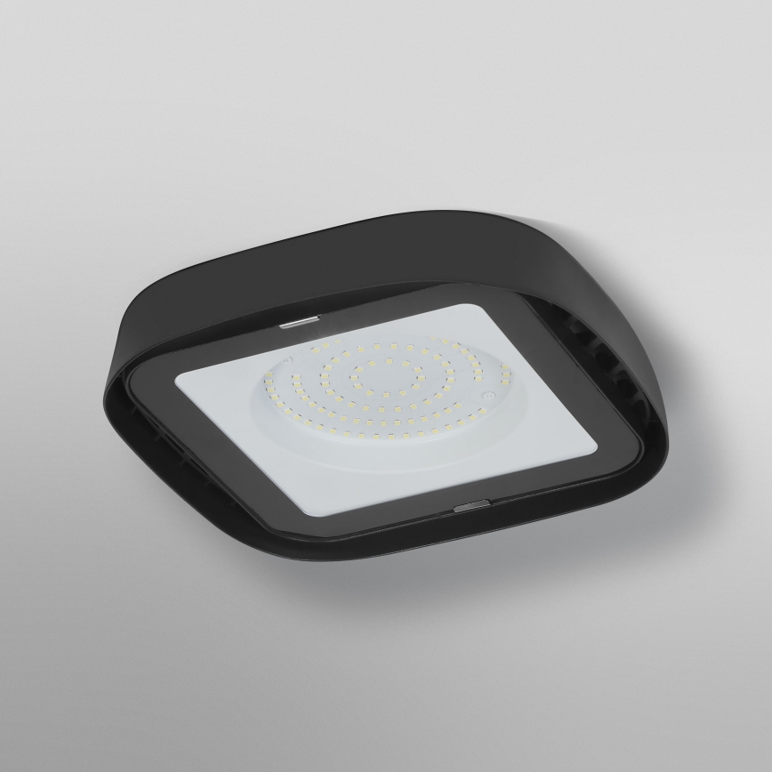 Ledvance - LED Industrijska plafonjera HIGHBAY LED/80W/230V IP65 6500K