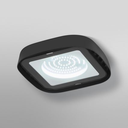 Ledvance - LED Industrijska plafonjera HIGHBAY LED/80W/230V IP65 6500K