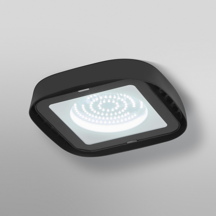 Ledvance - LED Industrijska plafonjera HIGHBAY LED/80W/230V IP65 6500K
