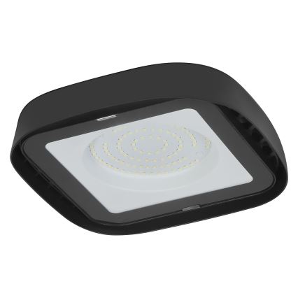 Ledvance - LED Industrijska plafonjera HIGHBAY LED/80W/230V IP65 6500K