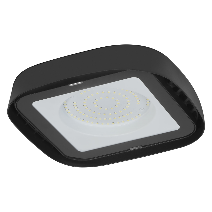 Ledvance - LED Industrijska plafonjera HIGHBAY LED/80W/230V IP65 6500K