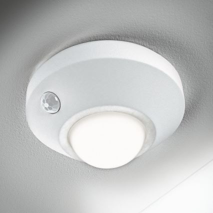 Ledvance - LED Orijentaciono svetlo sa senzorom NIGHTLUX LED/1,7W/3xAA 4000K