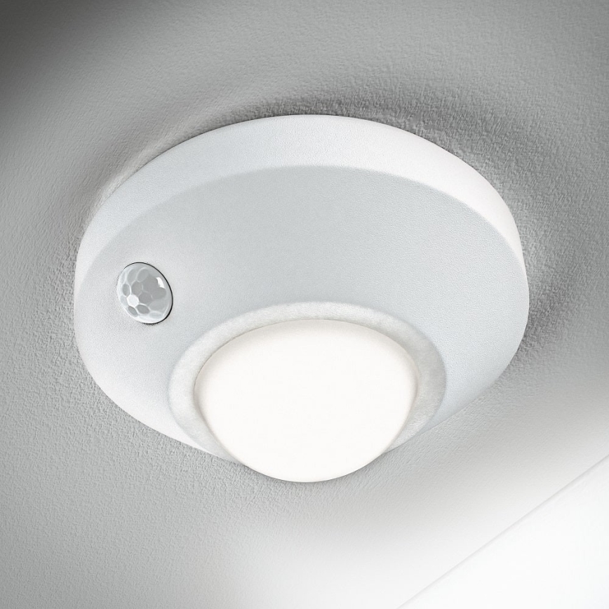 Ledvance - LED Orijentaciono svetlo sa senzorom NIGHTLUX LED/1,7W/3xAA 4000K
