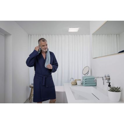 Ledvance - LED Plafonjera LUNIVE LED/19W/230V