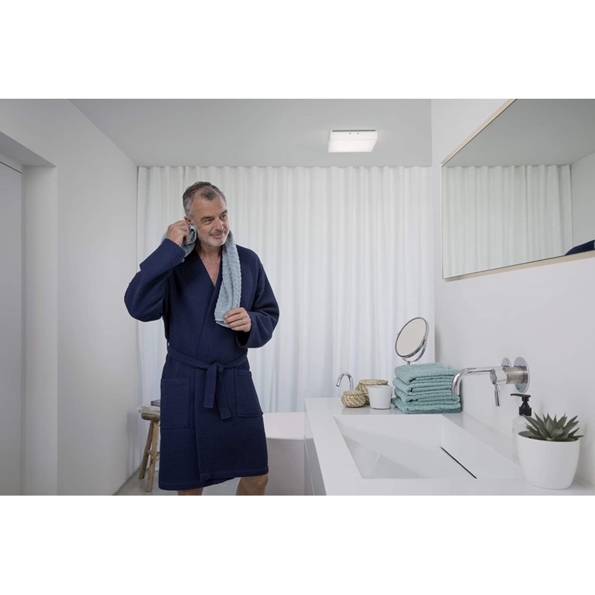 Ledvance - LED Plafonjera LUNIVE LED/19W/230V
