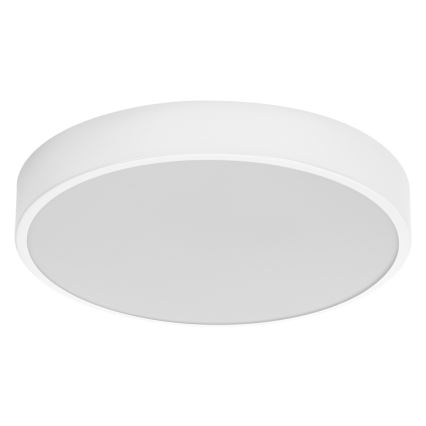 Ledvance - LED Plafonjera ORBIS SLIM LED/20W/230V bela