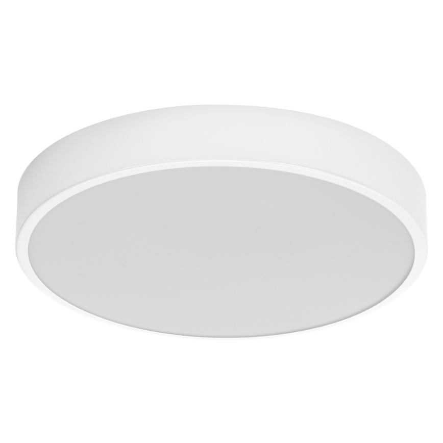 Ledvance - LED Plafonjera ORBIS SLIM LED/20W/230V bela