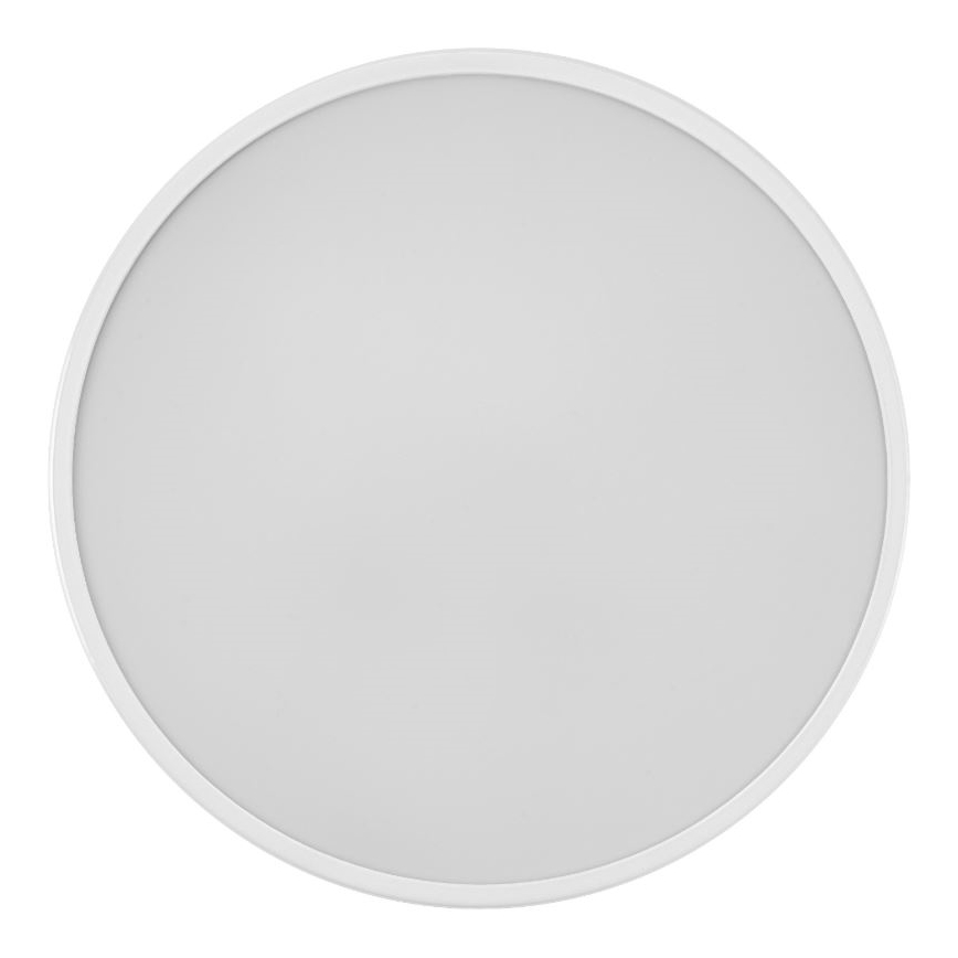 Ledvance - LED Plafonjera ORBIS SLIM LED/20W/230V bela