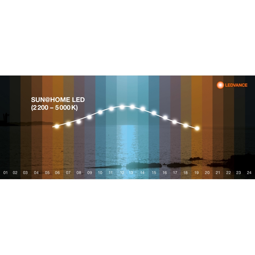 Ledvance - LED Prigušiva stona lampa na dodir SUN@HOME LED/20W/230V 2200-5000K CRI 95 Wi-Fi