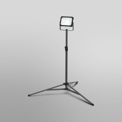 Ledvance - LED Prigušivi reflektor sa držačem WORKLIGHT TRIPOD LED/20W/3,7V IP54