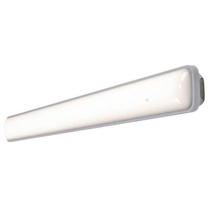 Ledvance - LED Radna baterijska lampa SUBMARINE LED/18W/230V IP65