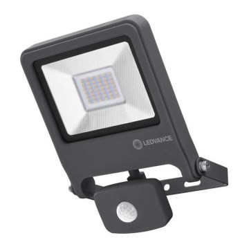 Ledvance - LED reflektor ENDURA sa senzorom LED/30W/230V IP44