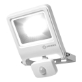 Ledvance - LED reflektor sa senzorom ENDURA LED/30W/230V IP44