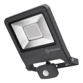 Ledvance - LED reflektor sa senzorom ENDURA LED/50W/230V IP44