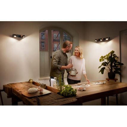Ledvance - LED Reflektorska lampa DECOR PLUTO 2xLED/4,8W/230V