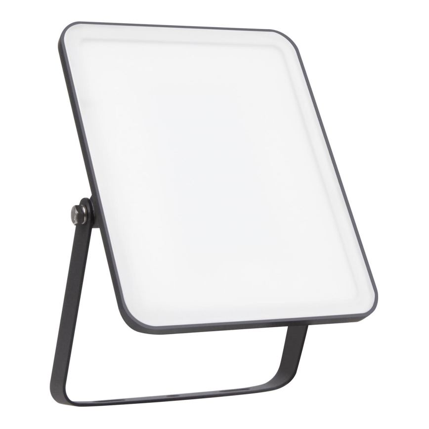 Ledvance - LED Spoljašnji zidni reflektor FLOODLIGHT ESSENTIAL LED/30W/230V 4000K IP65