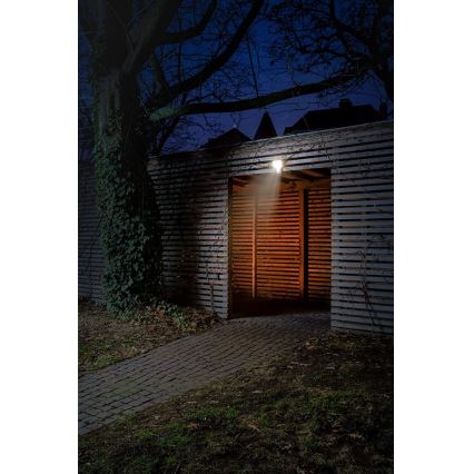 Ledvance - LED spoljašnji zidni reflektor sa senzorom FLOOD LED/15W/230V IP55