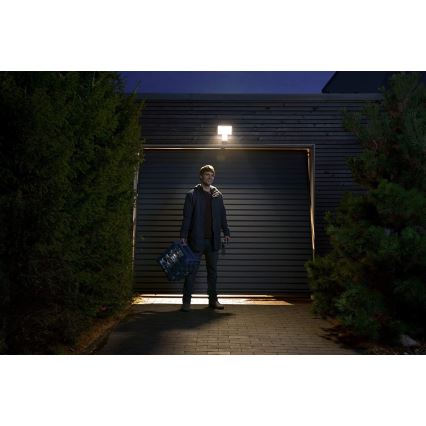 Ledvance - LED spoljašnji zidni reflektor sa senzorom FLOOD LED/15W/230V IP55