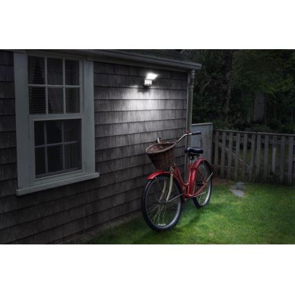 Ledvance - LED Spoljašnji zidni reflektor sa senzorom SPOTLIGHT LED/4W/4xD IP54