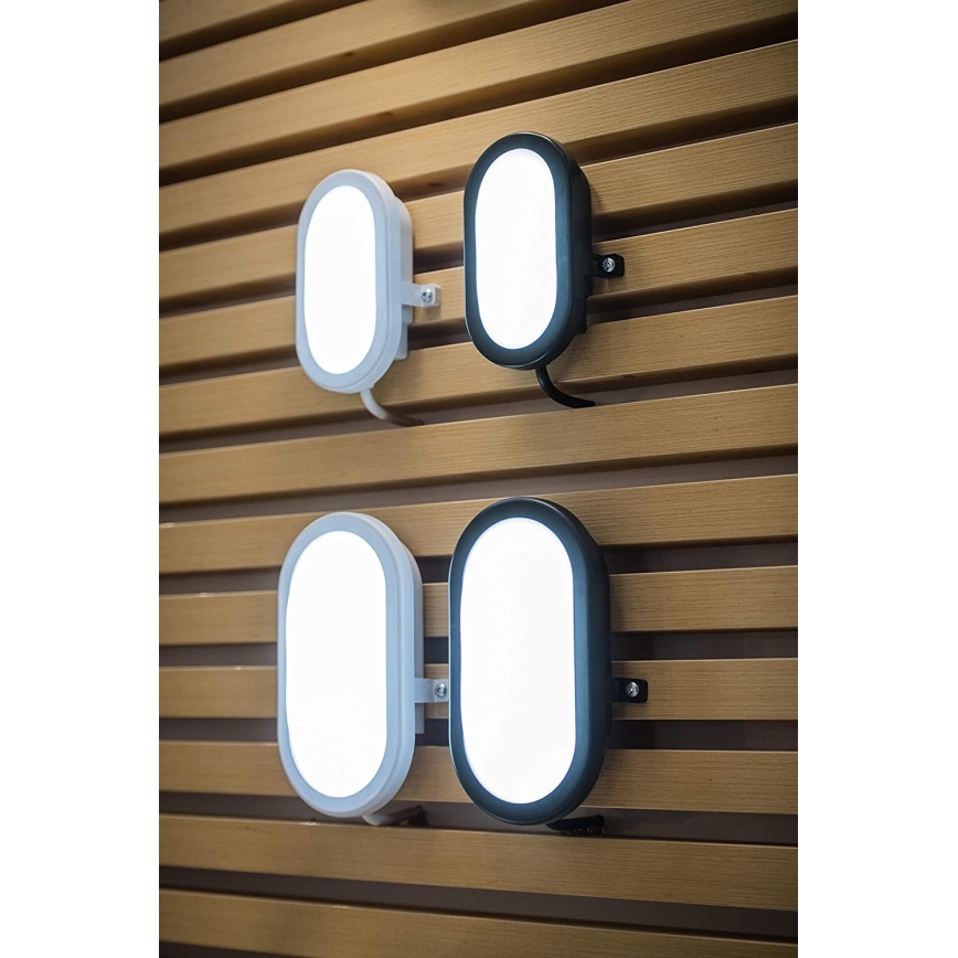 Ledvance - LED Spoljna zidna lampa BULKHEAD LED/11W/230V IP54 crno