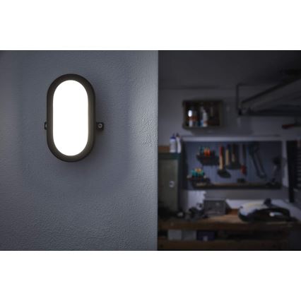 Ledvance - LED Spoljna zidna lampa BULKHEAD LED/6W/230V IP54 crno