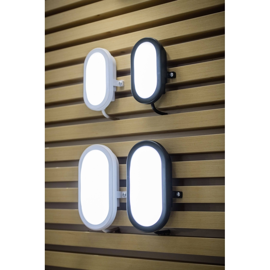 Ledvance - LED Spoljna zidna lampa BULKHEAD LED/6W/230V IP54 crno