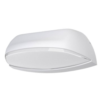 Ledvance - LED Spoljna zidna lampa ENDURA LED/12W/230V IP44