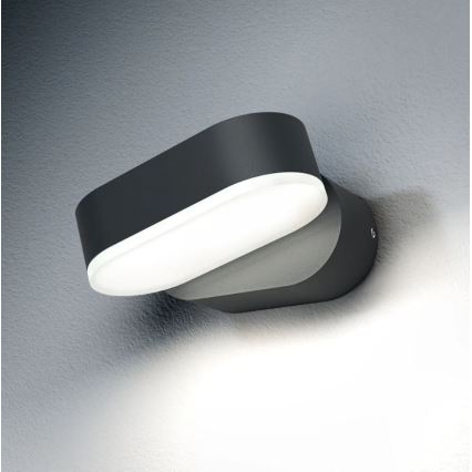 Ledvance - LED Spoljna zidna lampa ENDURA LED/8W/230V IP44