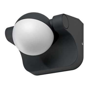Ledvance - LED Spoljna zidna lampa ENDURA LED/8W/230V IP44