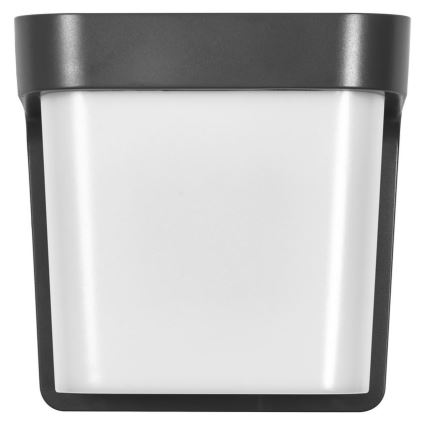 Ledvance - LED Spoljna zidna lampa ENDURA STYLE IHSAN LED/11W/230V IP65